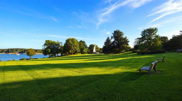 Top Seasonal Landscape Services for South Shore Properties